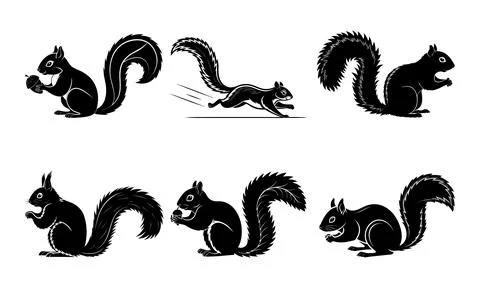 Black and white of squirrels in different poses animal wildlife rodents Stock Illustration