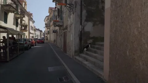 Black and white stray cat climbing stairs in Volosko Stock Footage 344784448