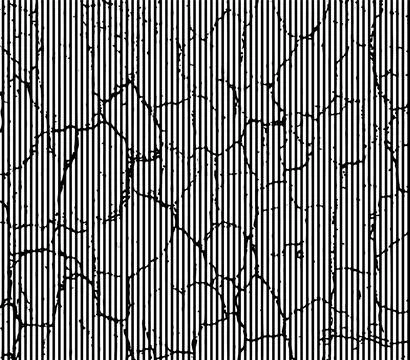 A black and white striped background with lines, grunge effect line, Stock Illustration