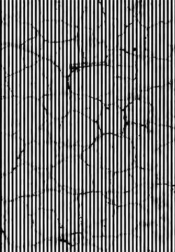 A black and white striped background with lines, grunge effect line, Stock Illustration