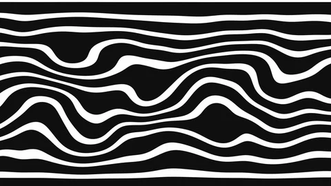 Black and white striped optical illusion. Seamless loop. zebra background Stock Footage 118675019