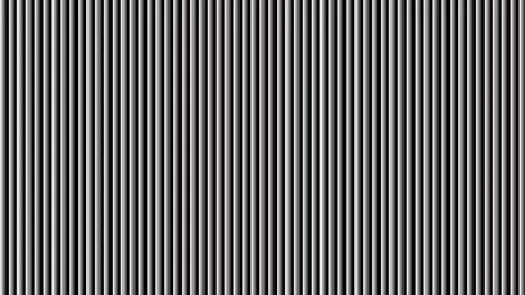 Black and white striped pattern with thin vertical lines 스톡 일러스트