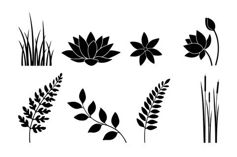 Black and white stylized botanical illustration of eight different plants a.. Stock Illustration