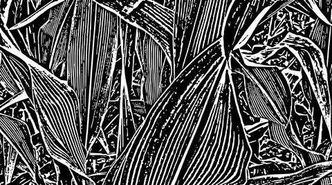 ​Black and White Stylized Dry Hay Graphic Background Texture Stock Illustration