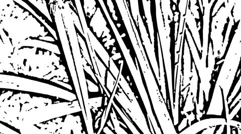 Black and White Stylized Dry Hay Graphic Background Texture Stock Illustration