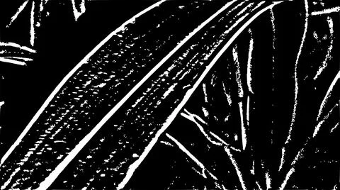 Black and White Stylized Dry Hay Graphic Background Texture Stock Illustration