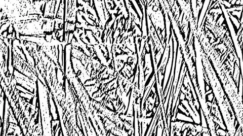 Black and White Stylized Dry Hay Graphic Background Texture Stock Illustration