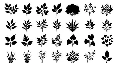 Black and white stylized leaf and plant icons set 库存插图