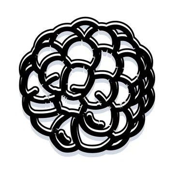 Black and white stylized pine cone illustration Stock Illustration