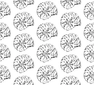 Black and white summer pattern with seashells Illustrazione stock