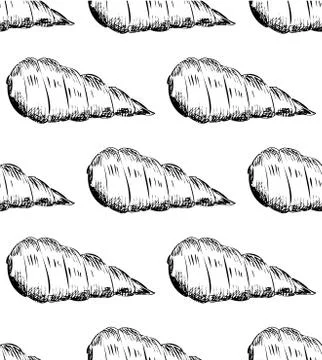 Black and white summer pattern with seashells Stock Illustration