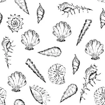 Black and white summer pattern with seashells Illustrazione stock