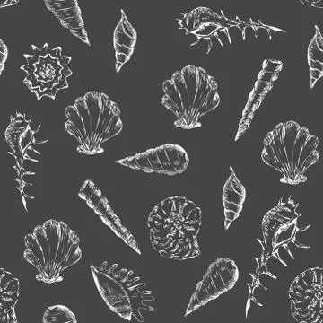 Black and white summer pattern with seashells Illustrazione stock