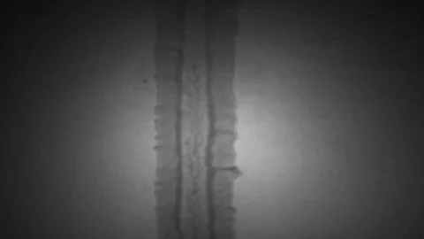Black and white Super 8 fil leader Stock Footage 81081998