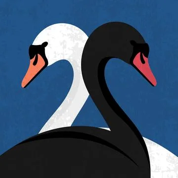 Black and white swans in side view. Duality concept. Vector illustration Stock Illustration