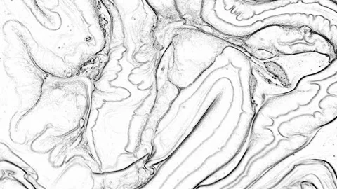 Black and White Texture Paint Swirls and Spreads Background 10 Stock Footage 321031407