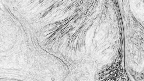 Black and White Texture Paint Swirls and Spreads Background 3 Stock Footage 321033449