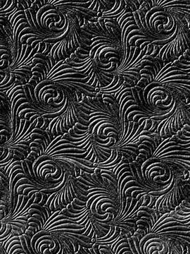 Black and white texture. Stock Photos