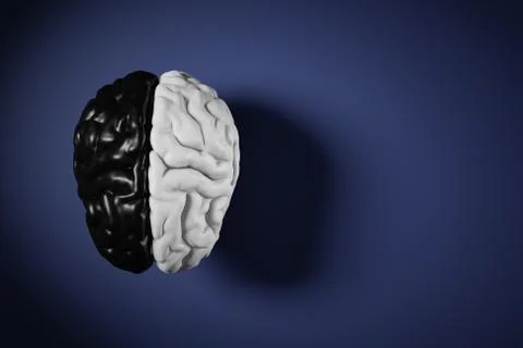Black And White Thinking. Stock Illustration