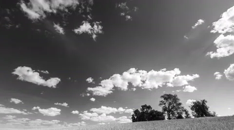 Black and white time lapse of stubble field and trees under sky with clouds 스톡 동영상 58720786