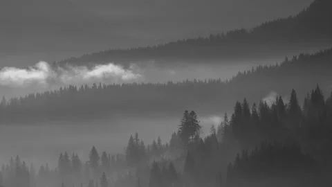 Black and White time-lapse of Carpathian Mountains Stock Footage 169392148