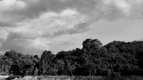 Black and white time lapse, natural view Stock Footage 277475289