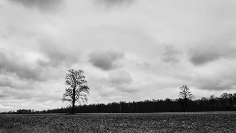 Black and white timelapse of clouds in empty field 库存影片 79284142