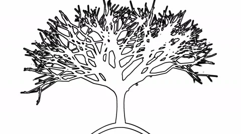 Black and White Tree Drawing Animation Stock Footage 66981083