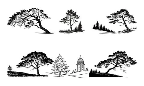 Black and white of trees and a building pine tree silhouette Stock Illustration