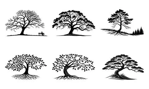 Black and white of trees with various silhouettes and roots Stock Illustration