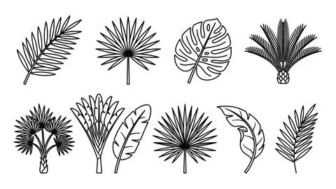 Black and white tropical leaf silhouette set for botanical design. Stock Illustration