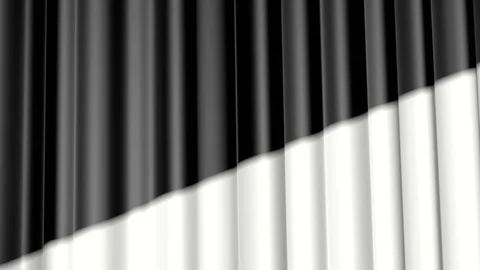 Black and white undulating plane is deformed. abstract animation. 3d rendering Stock Footage 97169404