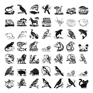 Black and white of various bird species perched and flying isolated on whith Stock Illustration