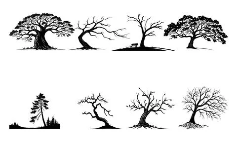 Black and white of various trees with different shapes and sizes silhouette Stock Illustration
