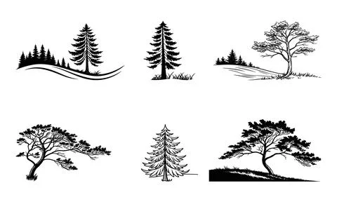 Black and white of various trees and landscapes pine tree deciduous tree Stock Illustration