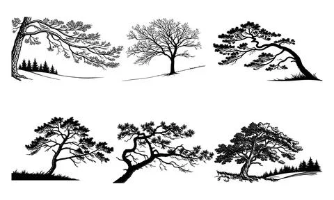 Black and white of various trees on white background silhouette nature Stock Illustration