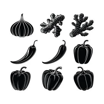 Black and white of various vegetables including onion ginger chili peppers .. Stock Illustration