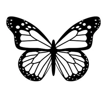 Black and white vector butterfly Stock Illustration