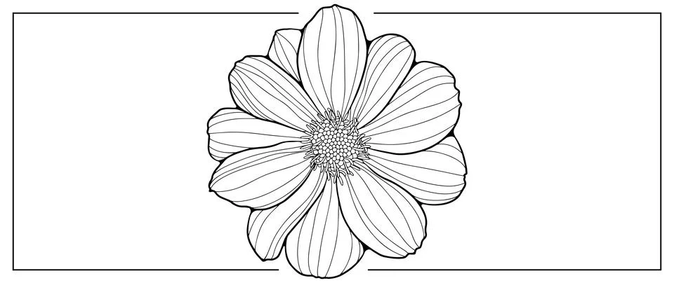 Black and white vector floral illustration for coloring books Stock Illustration