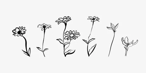 Black and white vector flowers and leaves. Stock Illustration