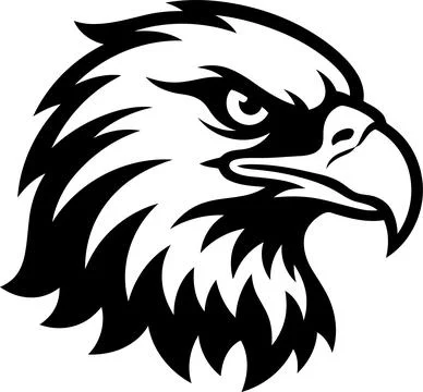 Black and White Vector Graphic Illustration of a Fierce Bald Eagle Head Masco Stock Illustration