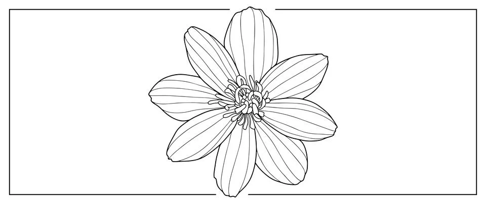 Black and white vector illustration of a flower Stock Illustration