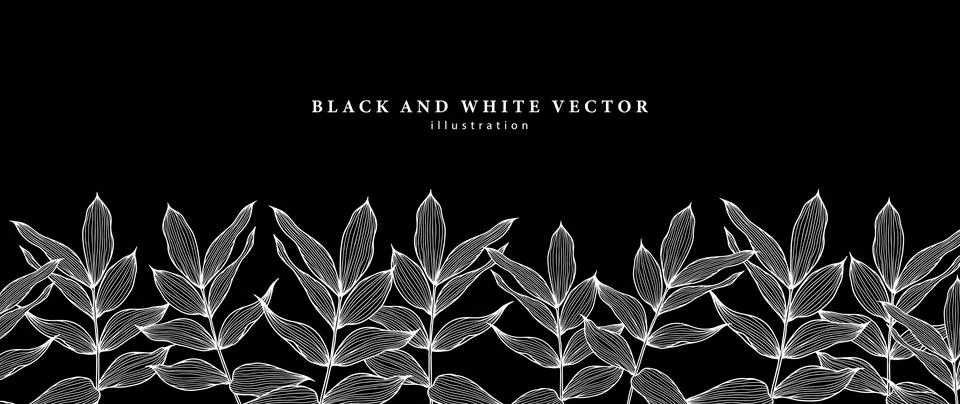 Black and white vector illustration with white leaves Stock Illustration