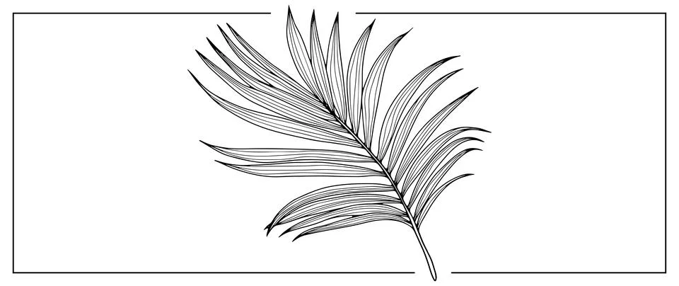 Black and white vector illustration with big palm leaf Stock Illustration