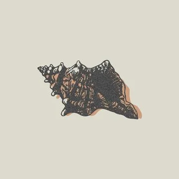 Black and white vector illustration of a seashell demonstrating photocopy effect Stock Illustration