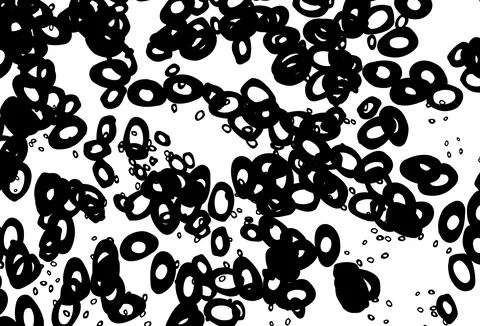 Black and white vector layout with circle shapes. Illustrazione stock