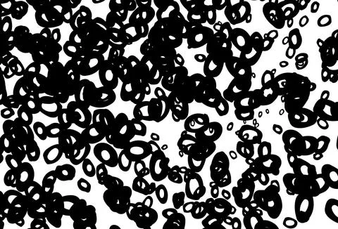 Black and white vector layout with circle shapes. Illustrazione stock