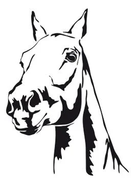 Black and white vector outlines of horse Stock Illustration
