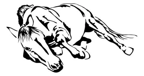Black and white vector outlines of rolling horse Stock Illustration
