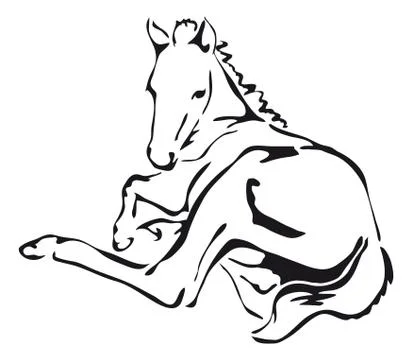 Black and white vector outlines of a foal Stock Illustration